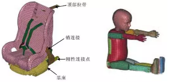 有限元在生物醫(yī)療三維人體建模方面的應(yīng)用